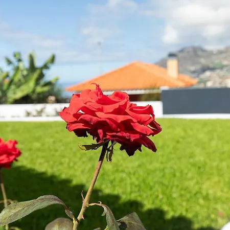 Quintinha Cloti By Rent-a-key Funchal (Madeira)
